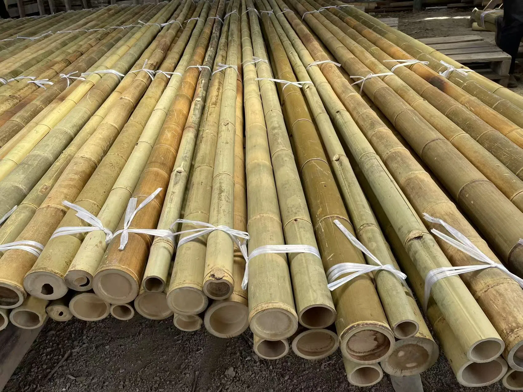 Premium Bamboo Poles for Plant Support High Quality Bulk Wholesale