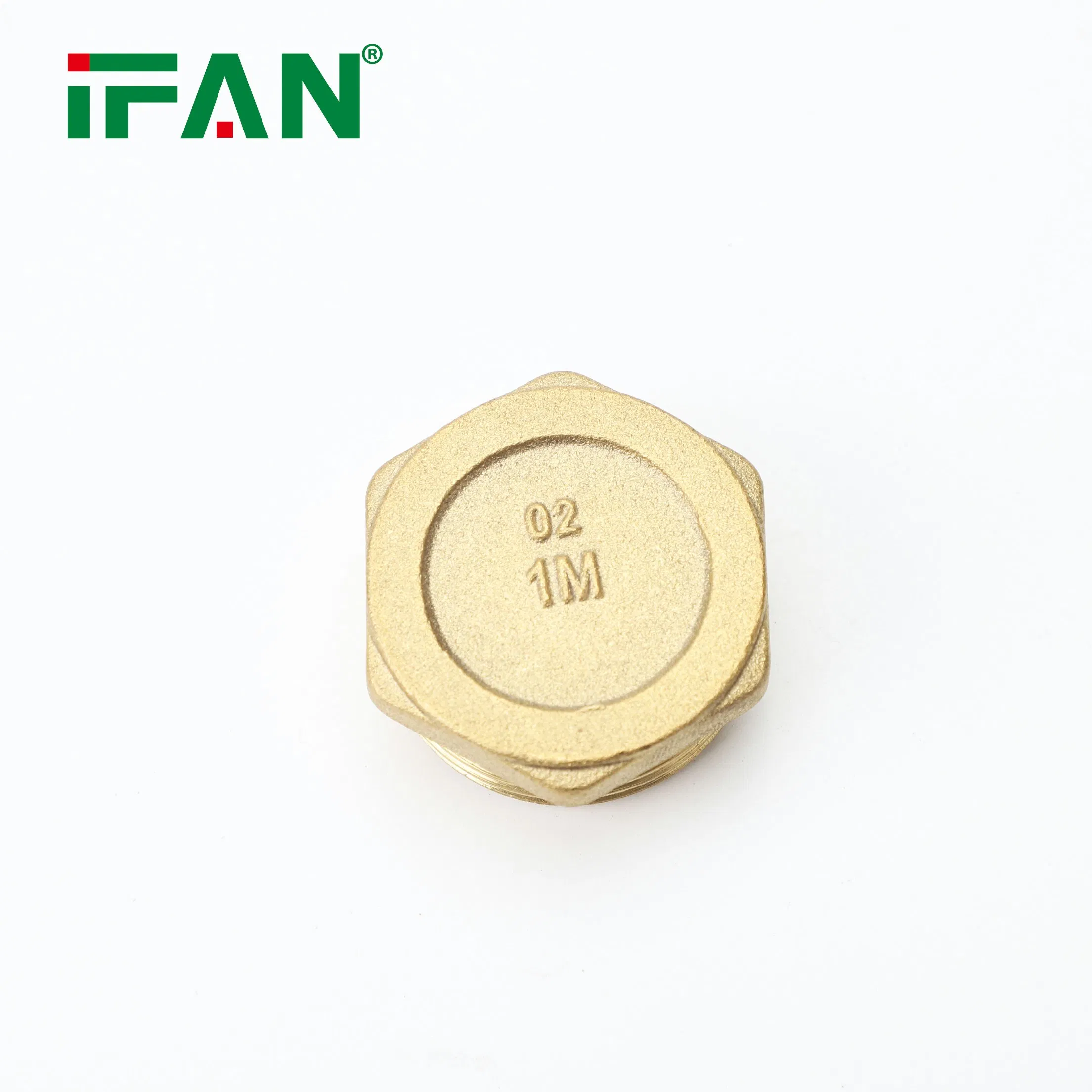 Ifan Customization Thread Bushing Brass Pipe Fittings