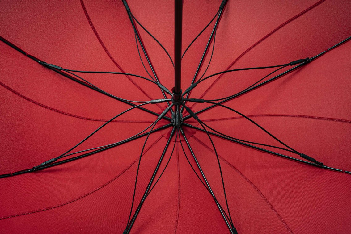 Зонт-трость Lotus Walker, розовый