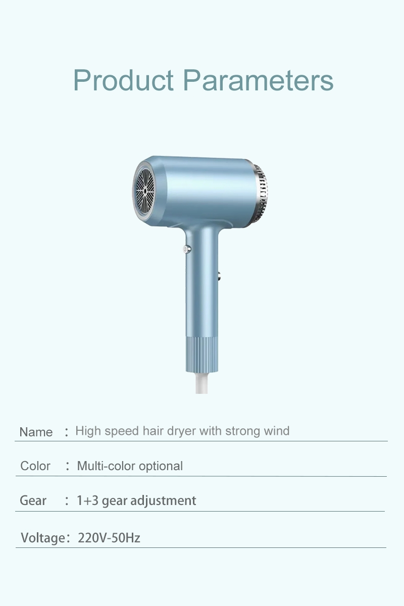 Custom Multifunctional Hair Dryers Professional Salon High Speed Hair Blower Negative Ionic Turbo Hair Dryer