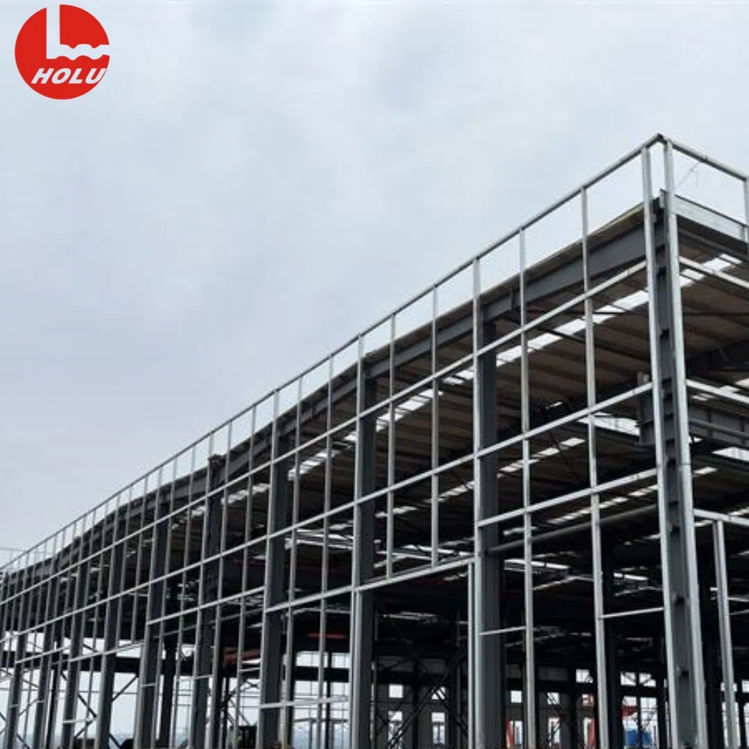 Modular Light Steel Frame Poultry House for Commercial Chicken Farming with Anti-Corrosion Coating