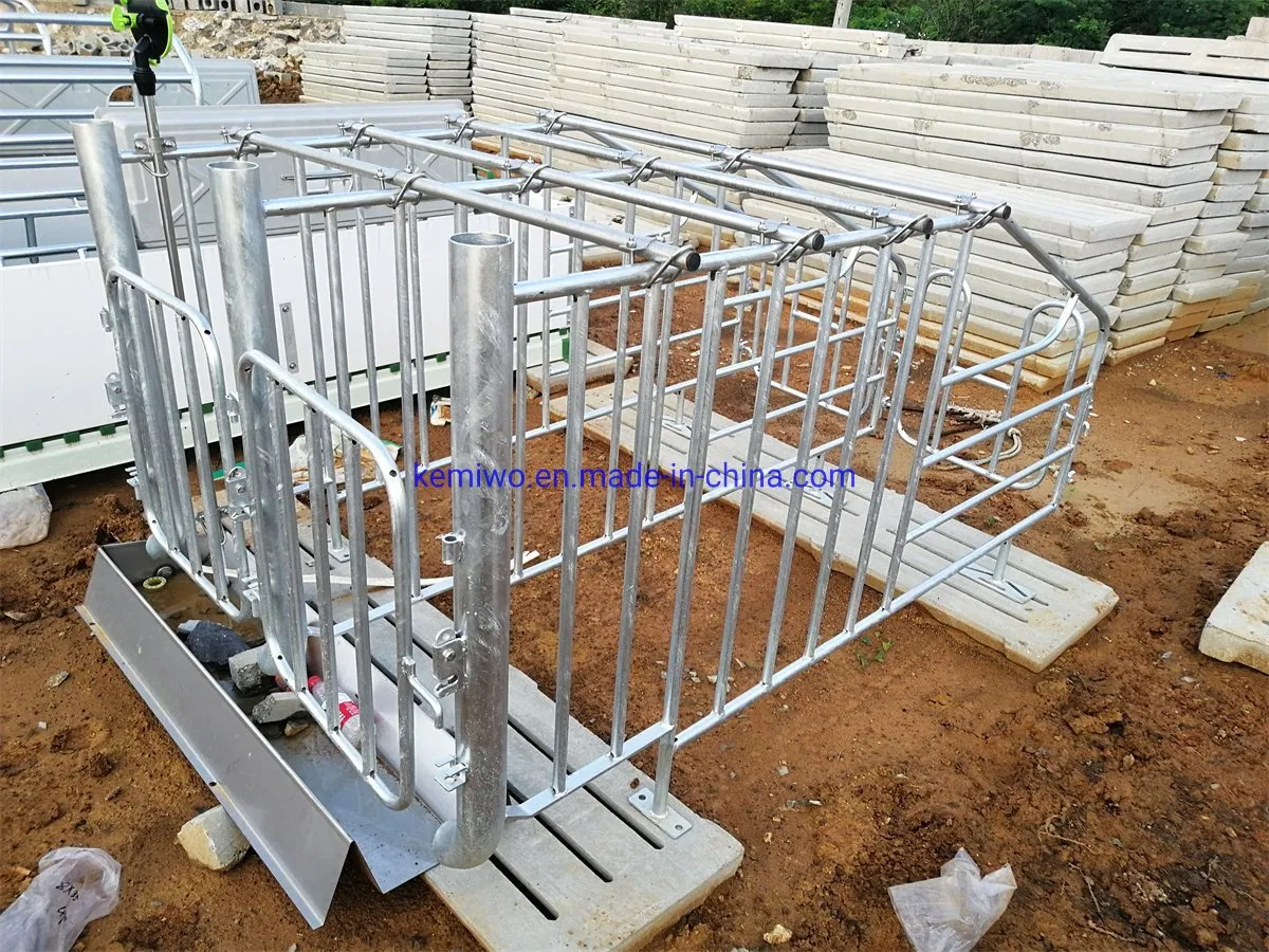 Breeding Equipment National Standard Hot-DIP Galvanized Pipe Sow Positioning Bar Single Bar