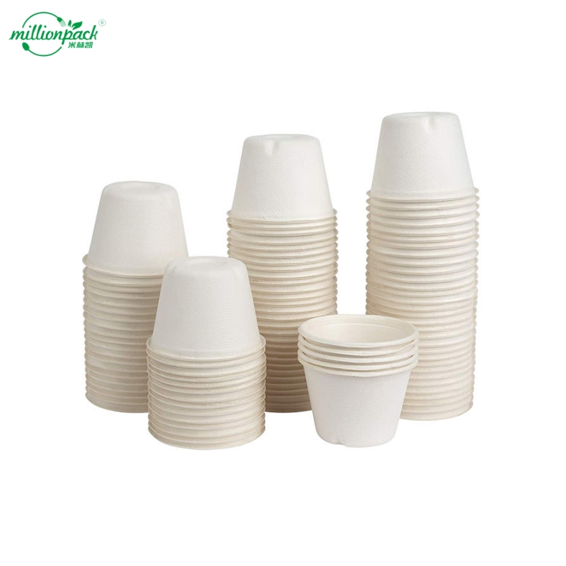 Чашка для кофе 12oz из багассы с двойными стенками