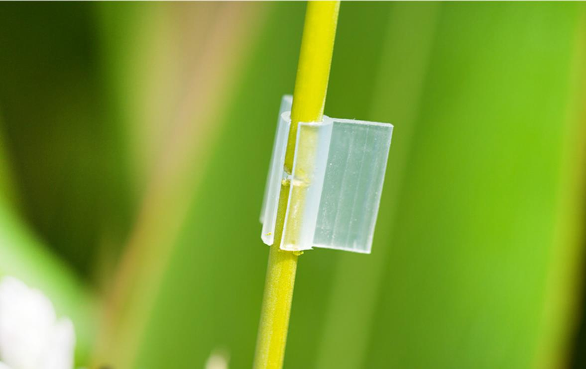 Special Grafting Clip Tomato Seedling Grafting Clip