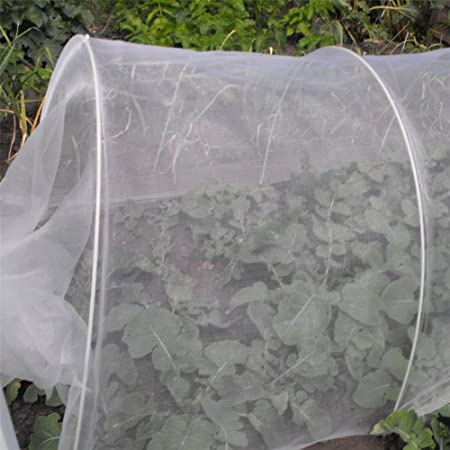 Premium White Insect Netting 3X6m for Garden Protection
