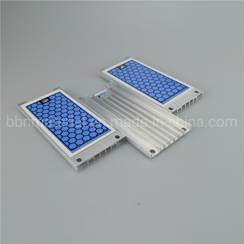 110V or 220V Integrated 10g/H Stainless Steel Ozone Ceramic Plate Ozone Generator