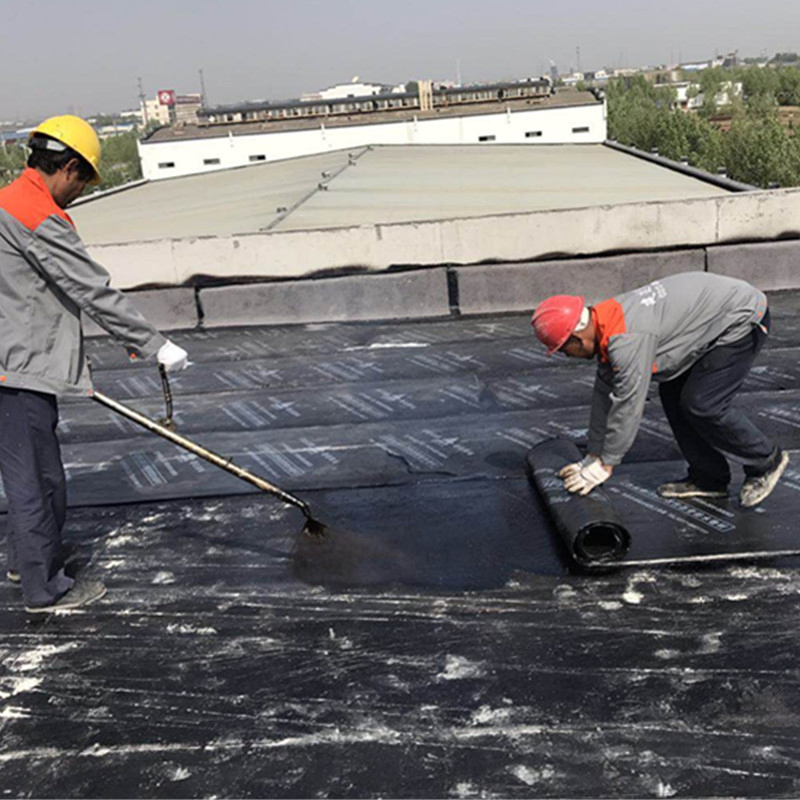 Premium Mineral Granule Sbs Modified Bituminous Waterproof Membrane