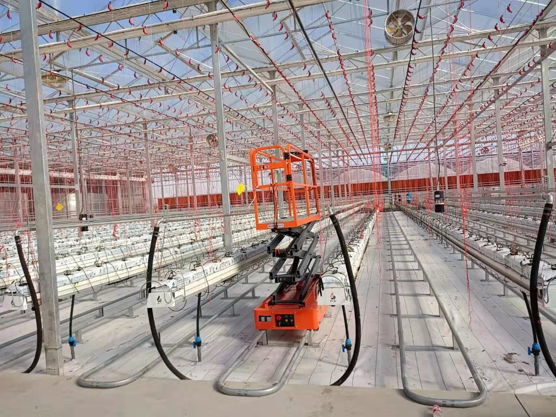 High Grade Elevated Work Platform Cherry Picker