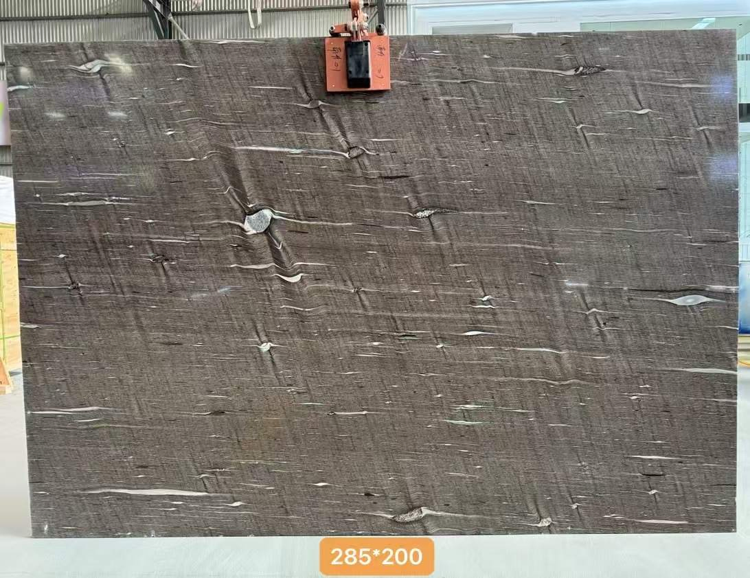 Nature Quartzite Slabs for Countertop