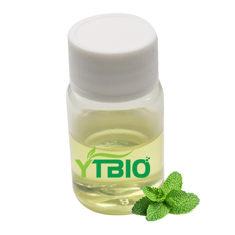 Pure Natural Mentha Piperita 100% Peppermint Essential Oil