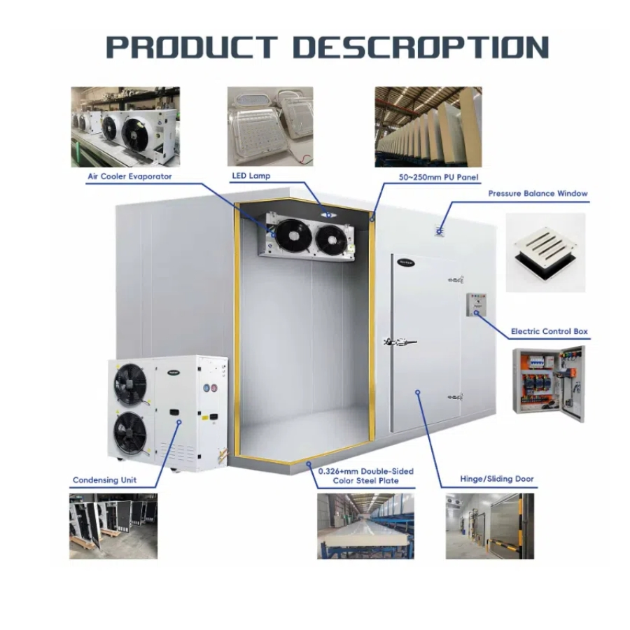 Versatile Cold Room Storage for Diverse Product Types