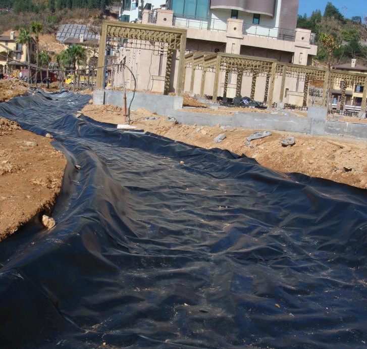 Geosynthetics High Density Polyethylene Pond Liner Poly Pond Liner Geomembranes for Fish Farming in Thailand