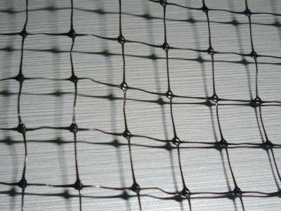 300G/M2 PP PE HDPE Extruded Plastic Wire Mesh