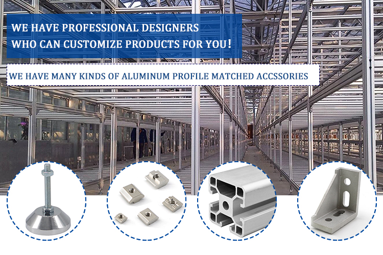 China Fractional Extrusion OEM ODM 1.0'' X 1.0'' BS1010 Smooth Surface T-Slotted Profile Industrial Manufacturing Machine Framing Inch T-Slot 10/15 Series