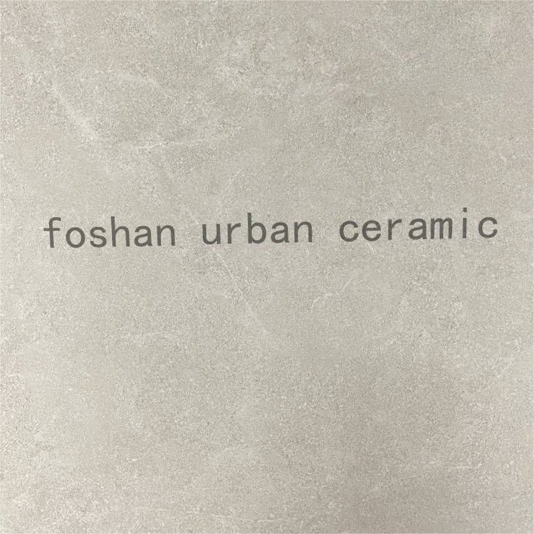 Factory Price Fast Loading 600*600mm Building Material Matt Floor Wall Tiles