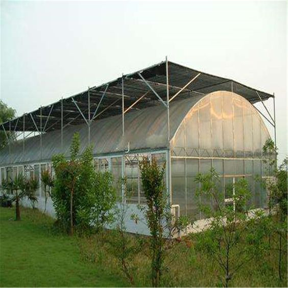 Four Season Tunnel UV Resistance Multi Span Farm Greenhouse for Vegetables Growing