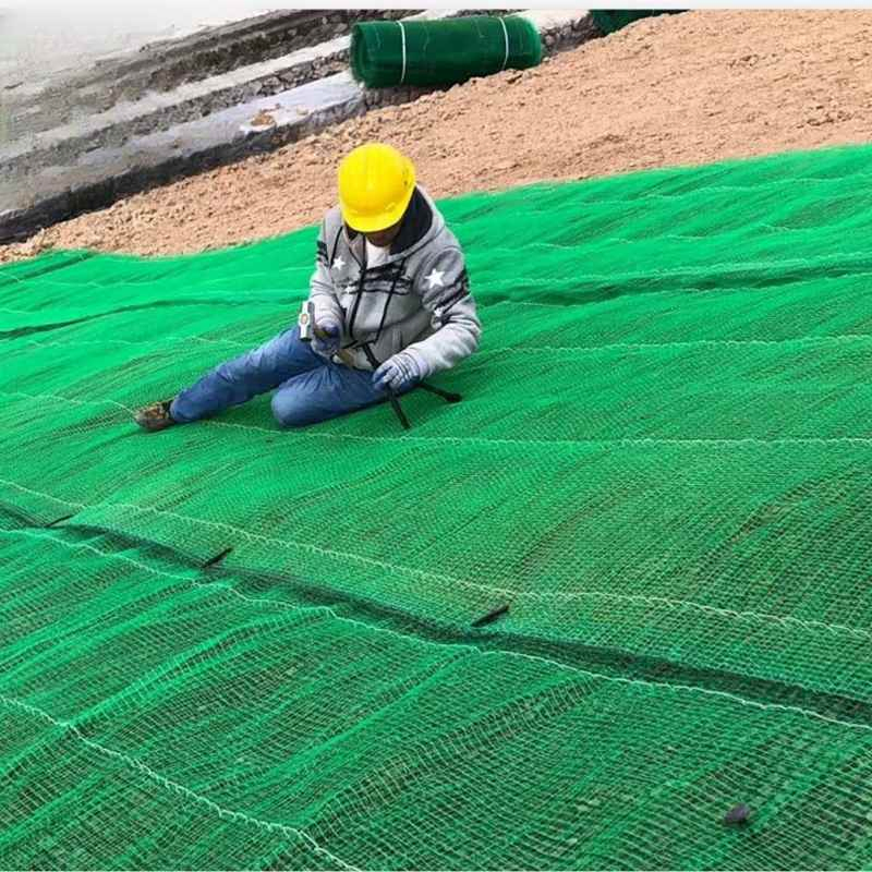 Environmentally Friendly New Material 3D Geonet Used for Road Greening Protection