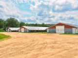 Complete Automatic Type Medium Scale 10000 Broilers House Prefabricated Poultry Shed Insulated Chicken Coop Poultry House/Chicken Pen