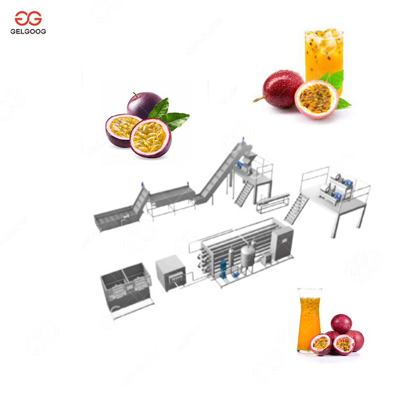 Fruit Juice Extractor (GGJE-5)