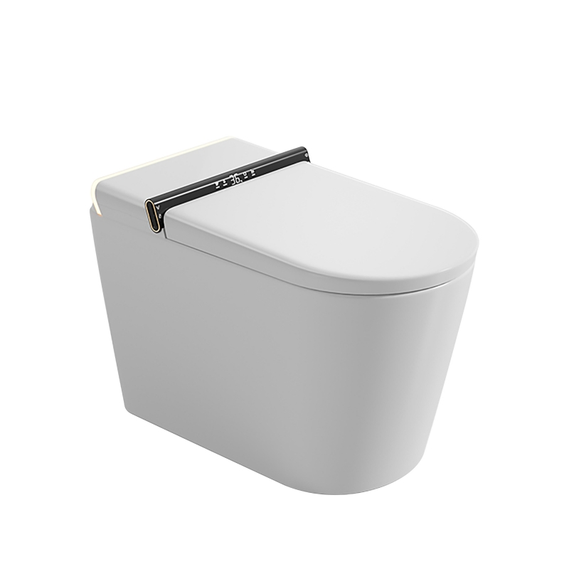 Simple Hot Selling, Fashionable Ceramic Wall Mounted Intelligent Toilet