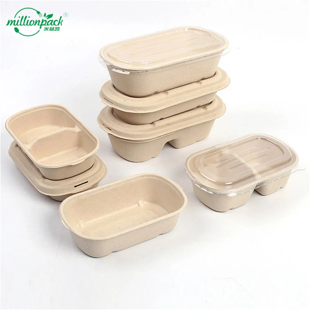 Elegant White Finish Bagasse Box for Upscale Dining Experiences
