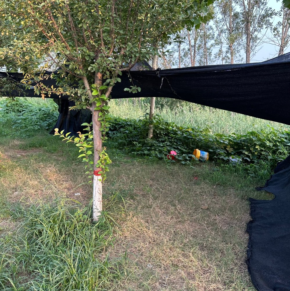 30%-95% Sun Protective Shade Fabric for Greenhouse Farming