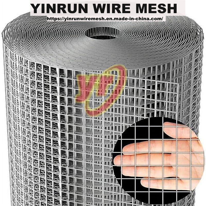 Anti-Rust Galvanized Welded Wire Mesh for Long Lifespan, Advanced Technology, Reliable Quality