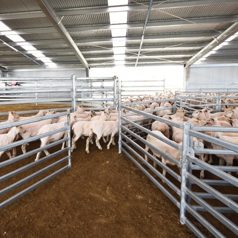 Portable Agricultural Sheep Yards with Goat Gates of Good Quality for Sale