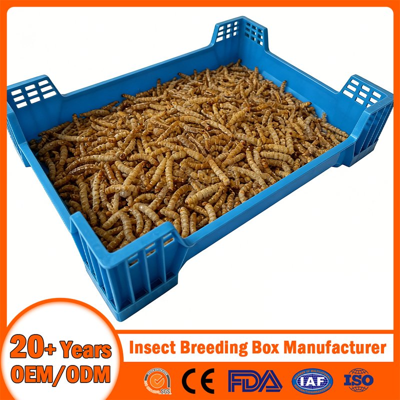 China Plastic Insect Breeding Box Manufacturer Stackable/Attached Lid/Nestable/Lobster/Bale Arm/EU/Euo Moving Mesh Turnover Logistic/Bread/Egg/Beer Tote Box