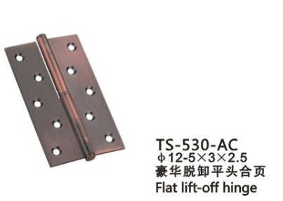 High Quality Security Stud Iron Door Hinge (5*3*3-4BB AC)