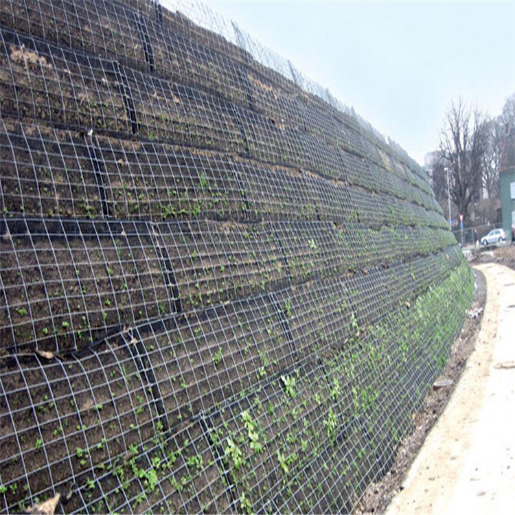 Black Uniaxial Plastic Geogrid for Road Construction