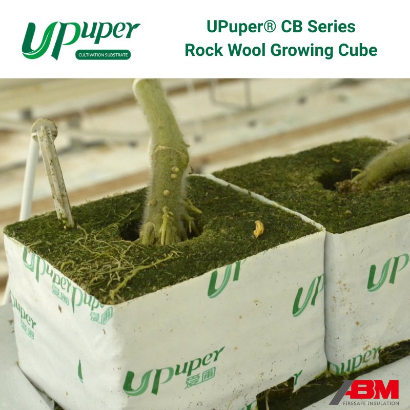 Upuper® CB Growing Block 4*4 Inch Smart Farm System Rose Plant Substrate Rock Wool Cubes for Seedling