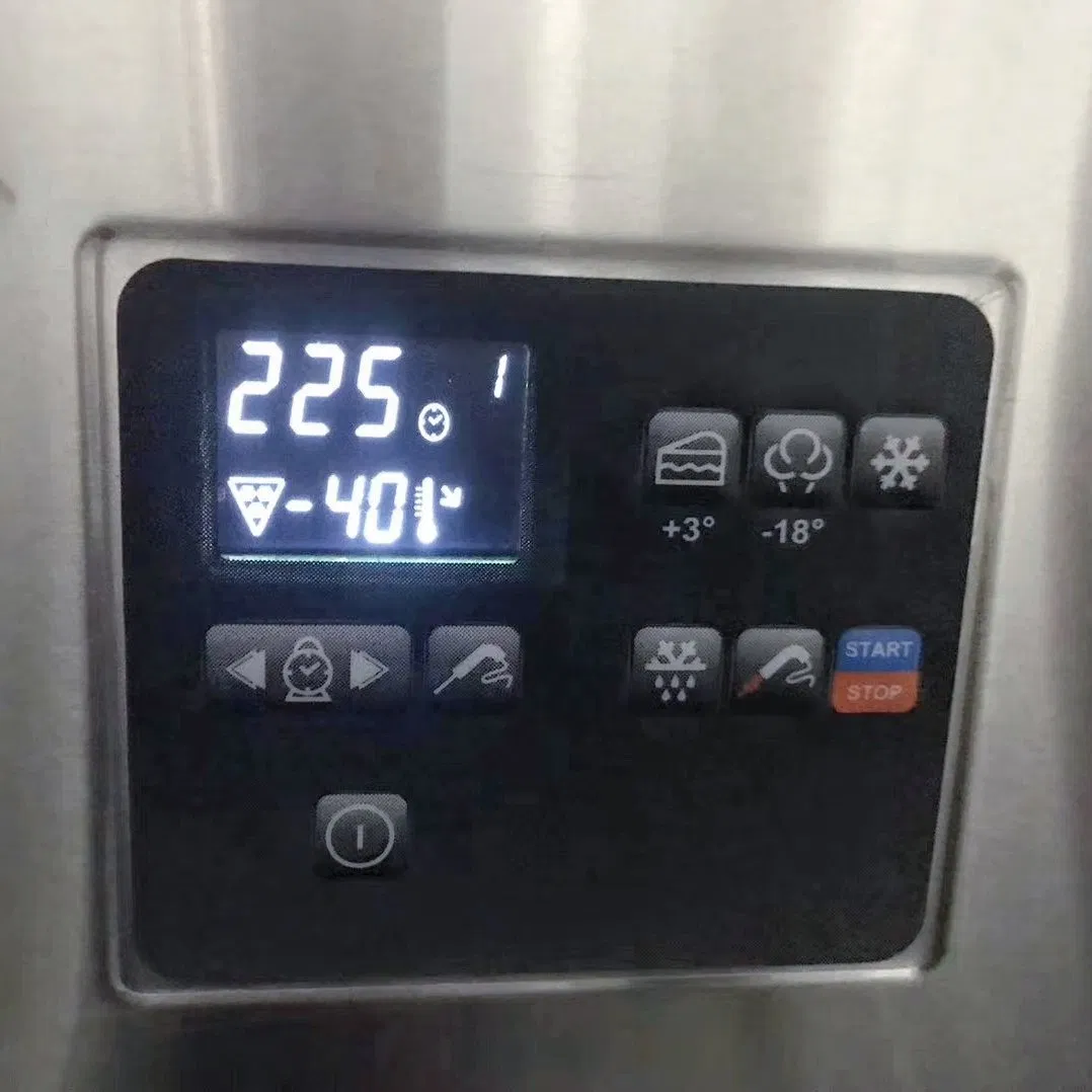 Food Quick Freezer Tunnel Blast Freezer Shock Chiller with Trolley Roll in