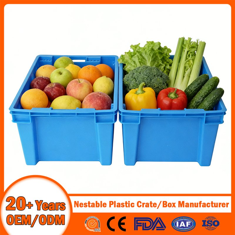 China Plastic Crate Manufacturer Stackable Tote Folding Nestable Storage Mesh Crate for Logistic/Moving/Turnover/Agriculture/Seafood/Vegetable/Fruit/Bread/Lobst