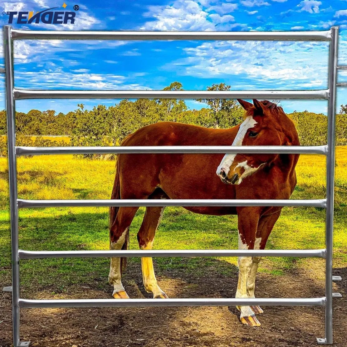 Durable and Strong Barrier Ensures Safety on Farms Livestock Fence