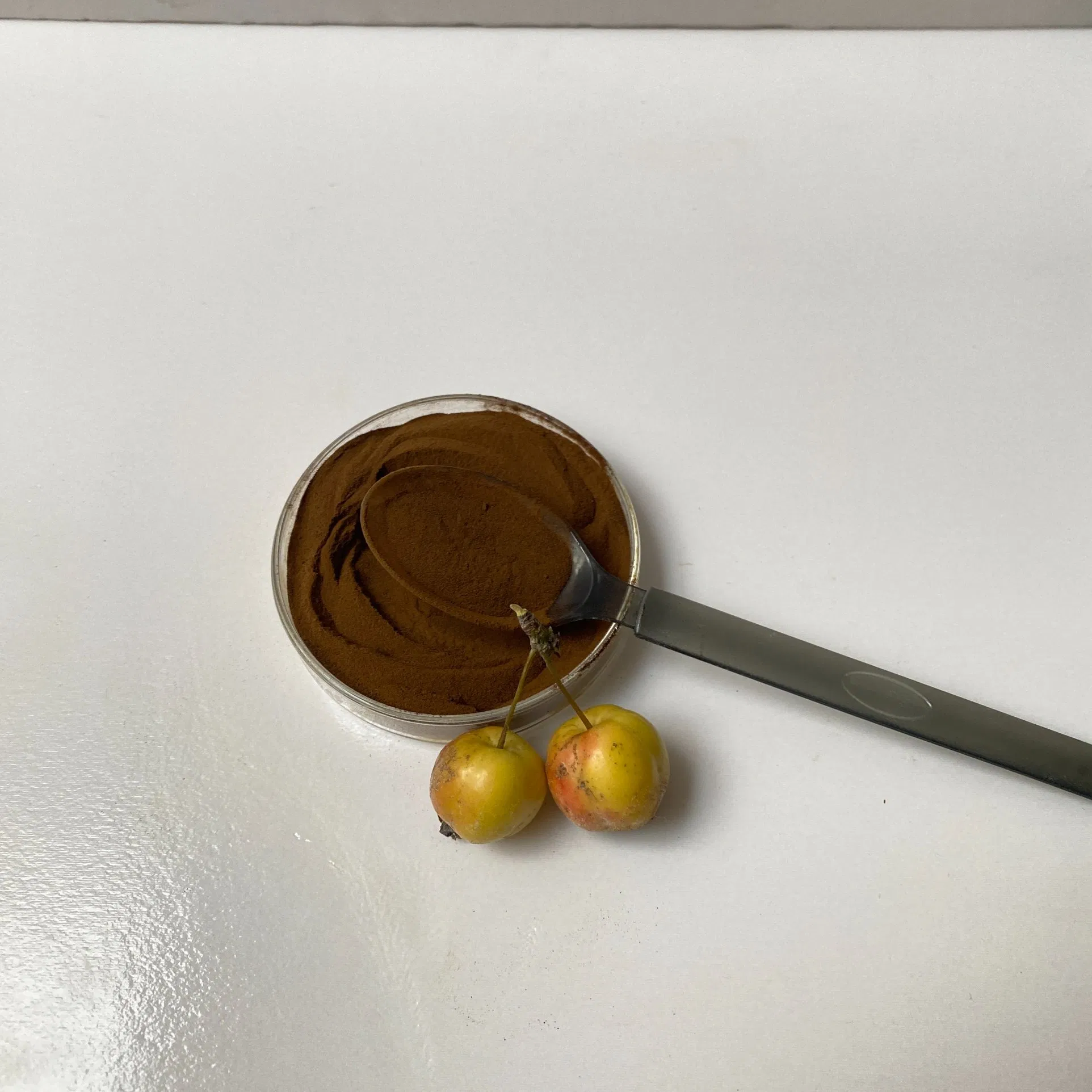 Sodium Lignosulfonate, a Brownish Powder, Is a Concrete Water Reducer and Boiler Scale Remover