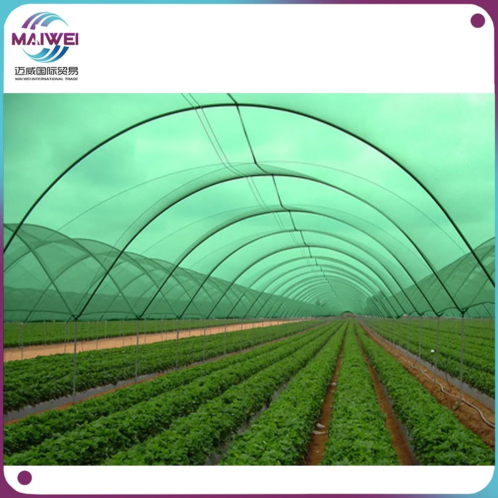 HDPE Plastic +UV Treated Agriculture Farming Net, Sun Protection Shade Net