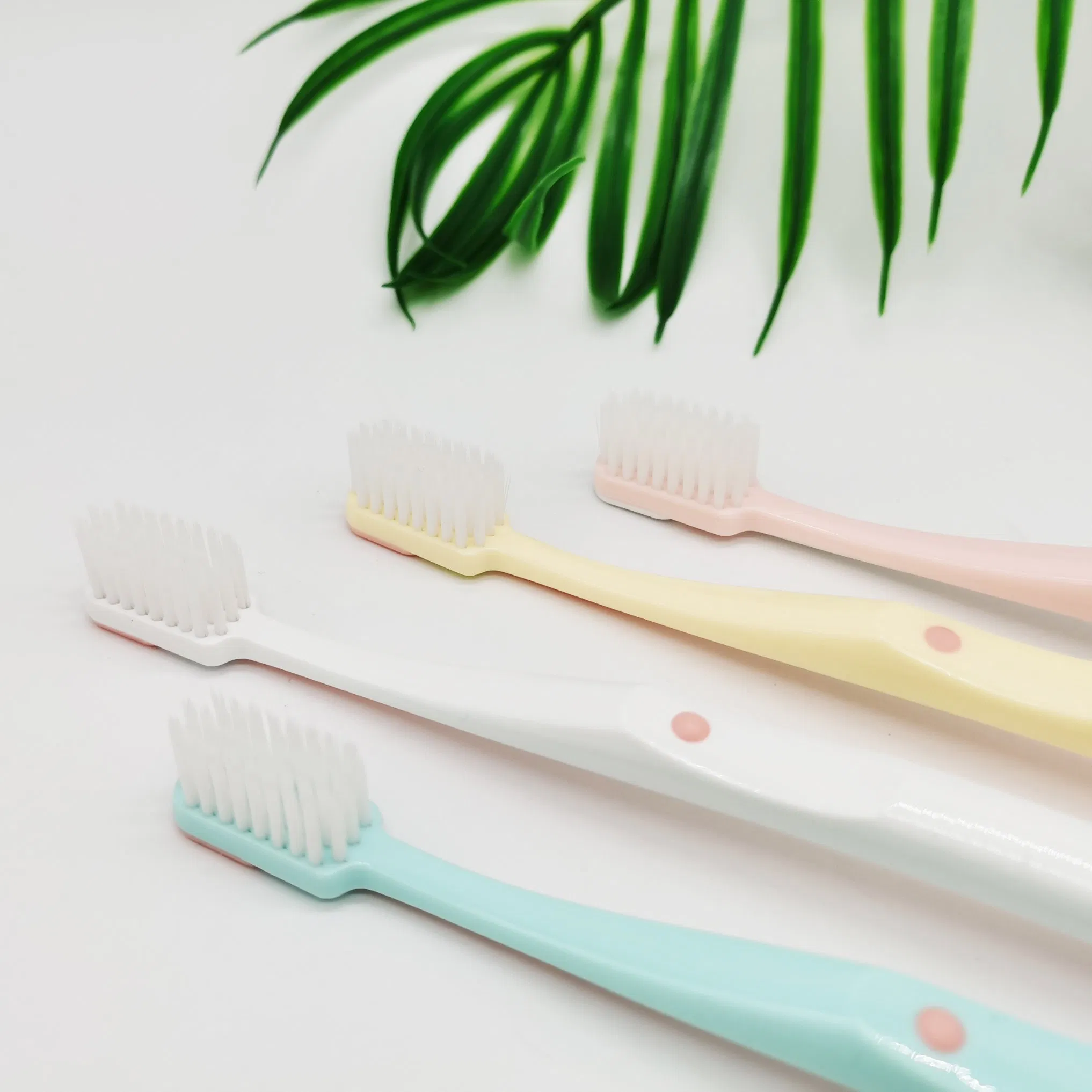 Daily Use Adult Toothbrush 4 in 1