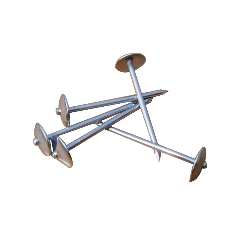 Hot Sale Galvanized Head Umbrella Roofing Nail for Building