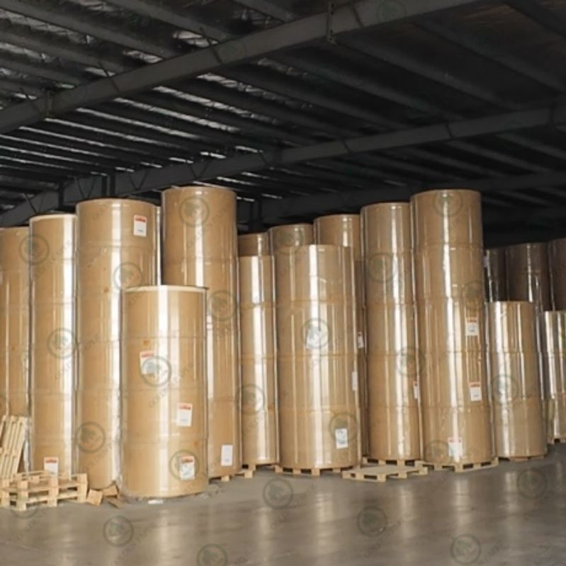 Mother Jumbo Roll for Making Toilet Paper Napkin Facial Tissue From Manufacturer at Competitive Price