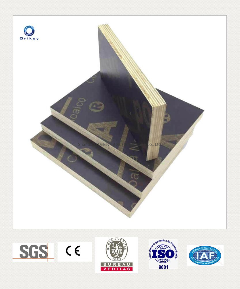 Black/Green PP Plastic with Logo Face Construction 9-18mm Finger-Joint Core Film Faced Plywood