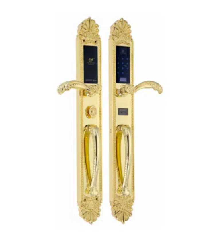 Luxury Fingerprint Electronic Combination Smart Door Lock