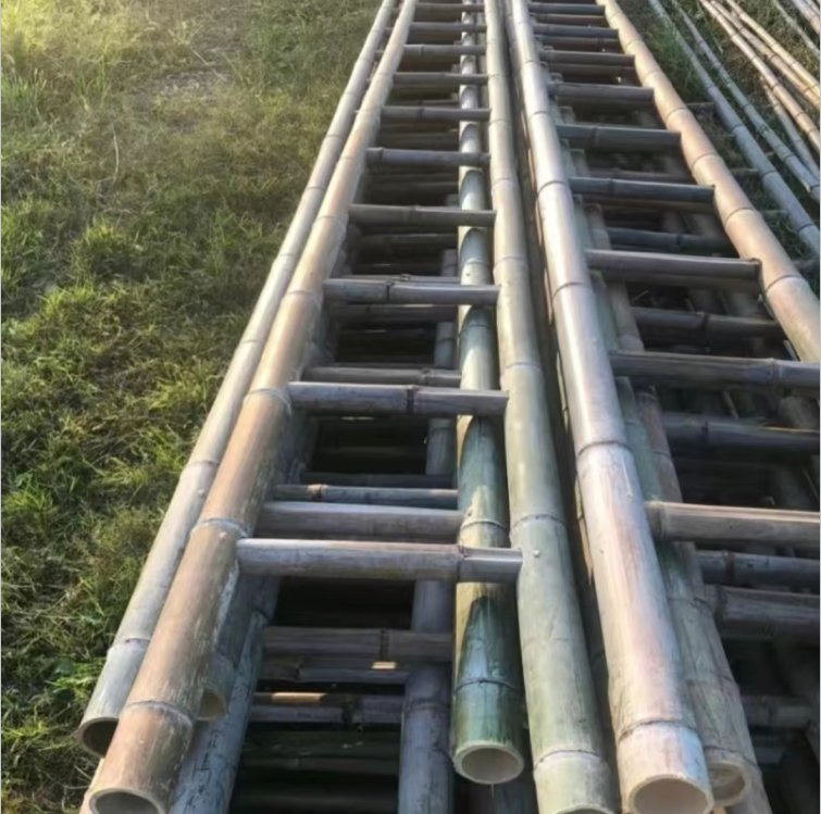 Long Moso Bamboo Ladder /Bamboo Stepladder / Insulation Ladders