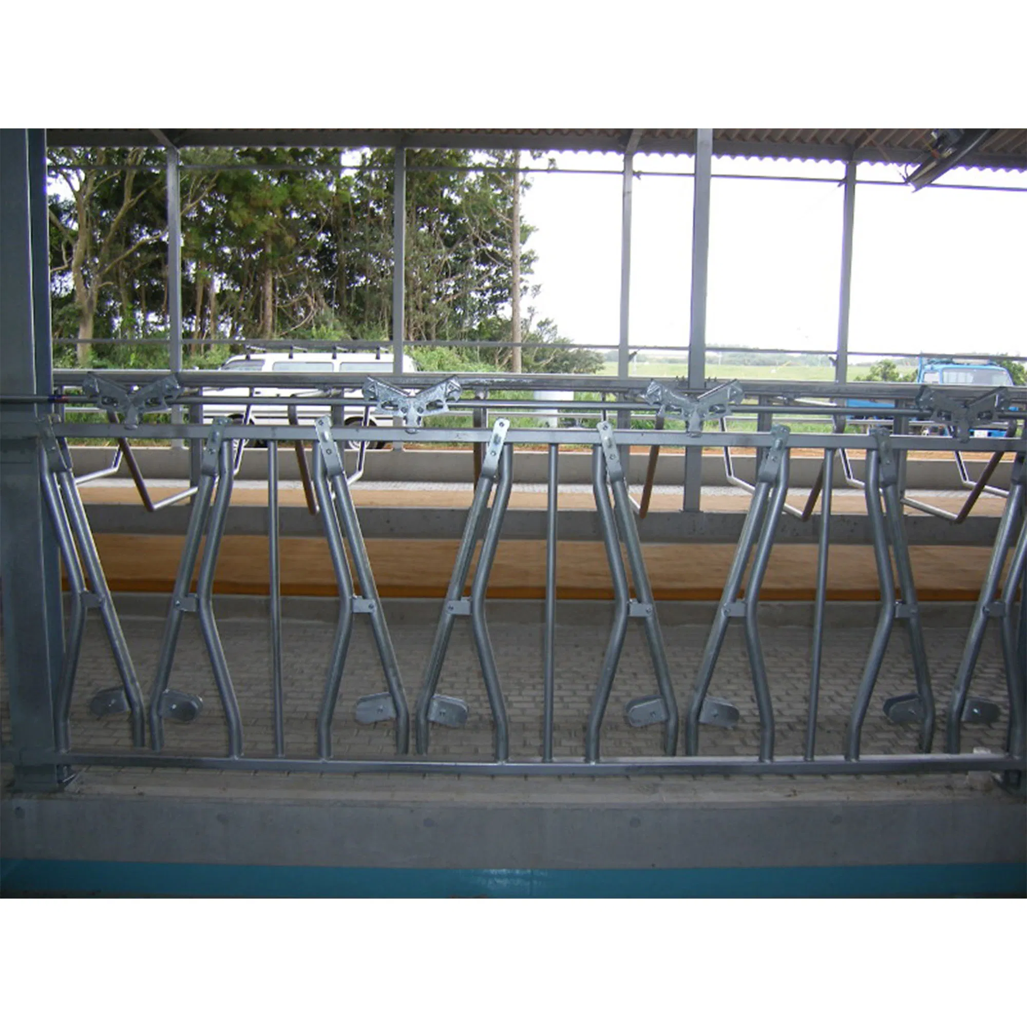 Prefabricated Steel Structure Buildings for Chicken Coop Cattle Shed Sheep Shed Farm