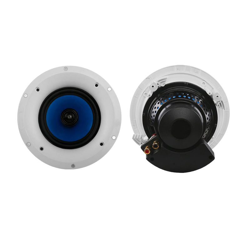 Ceiling Loudspeaker, Speaker, Ceiling, Coaxial,