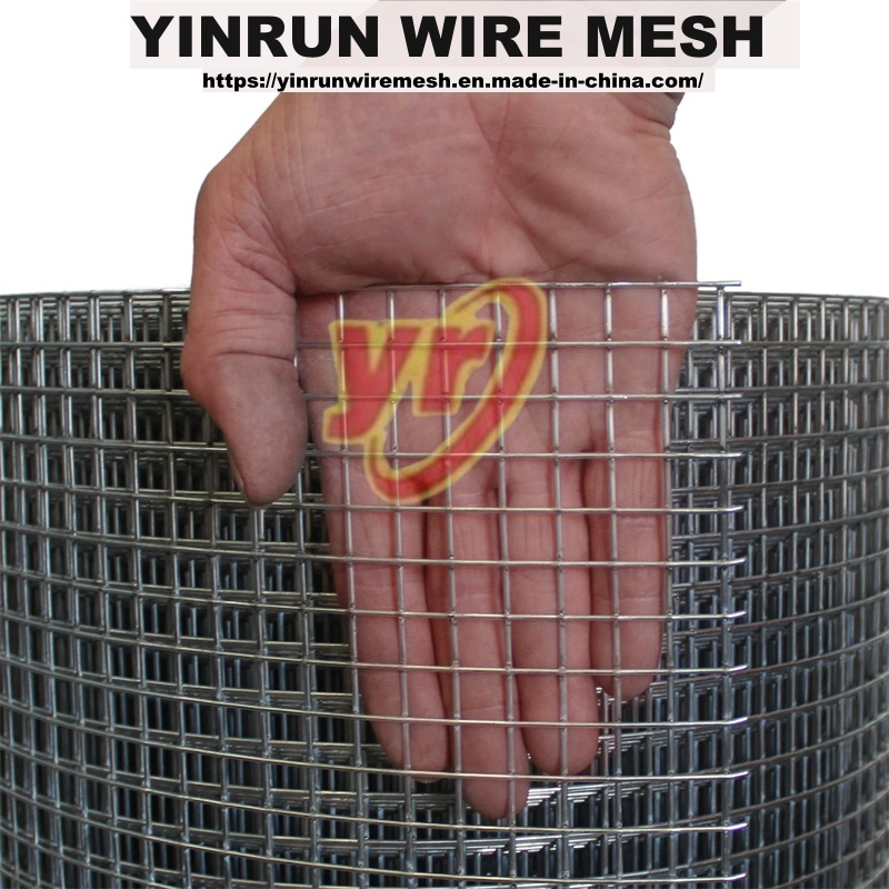Anti-Rust Galvanized Welded Wire Mesh for Long Lifespan, Advanced Technology, Reliable Quality