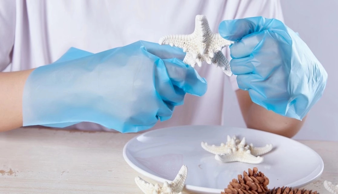 Disposable Transparent Household Powder Free TPE Gloves