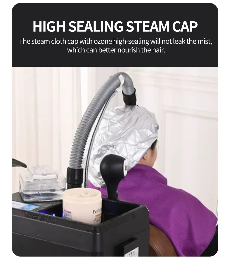 Hair-Steamer Scalp Care Spare Parts Beauty Salon Wall Mounted Micro Mist Hair Smoothing SPA Machine