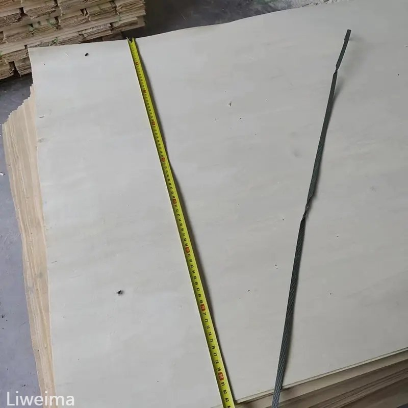 Hot Sale Natural White Birch Veneer Lwm-BV-02