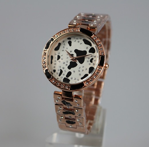 Watch Ladies Watch Fashion Watch Quatz Watch Ad91247L